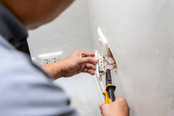 Best Electric Panel Repair  in Kingsbury, NV